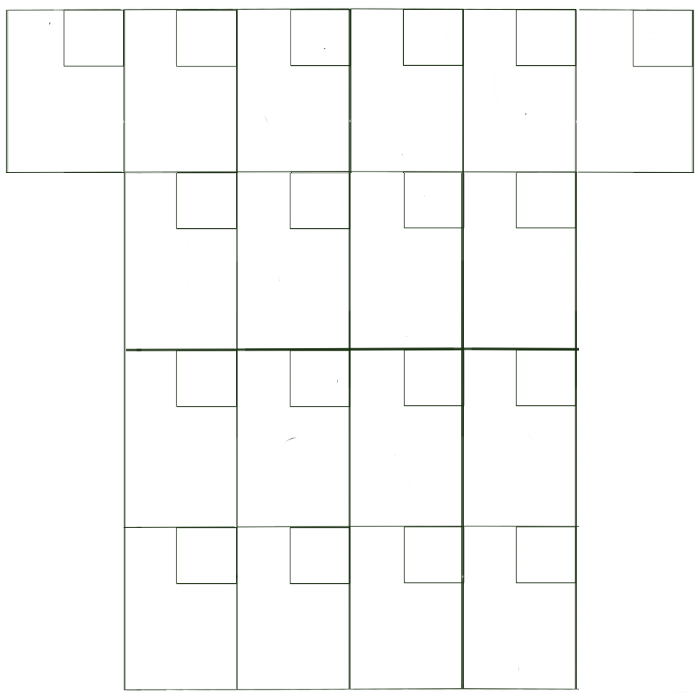 A grid of Shotali syllabetic characters